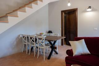 Tenuta Cantona - Casole d'Elsa - 1