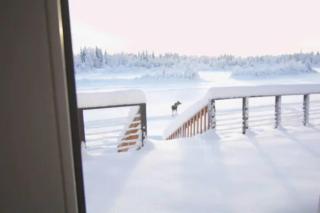 The Chena River House North Suite - 5