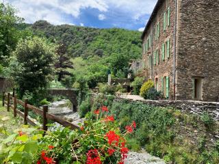 La ferme du Valdeyron - Valleraugue - 3