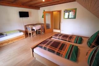 Pension Altvogtshof - Eisenbach (Hochschwarzwald) - 2