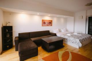 Privilegio apartment - Centru Civic - Afi Mall - Braşov - 0