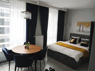 Manu Park Apartament z Garażem Centrum - Łódź - 4