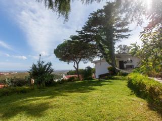 The Shelter - Malveira da Serra - 0