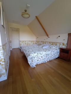Chambres d'hôtes La Roche - Saint-Hilaire-des-Landes - 3