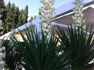 Skipper White Guest House - Trevignano Romano - 2