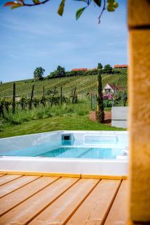 Klöchberg Relaxing & Living - Klöch - 9