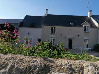 Le gîte d' Alice - La Chapelle-Saint-Martin-en-Plaine - 0