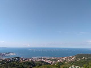 B&B Ferluga - Trieste - 0