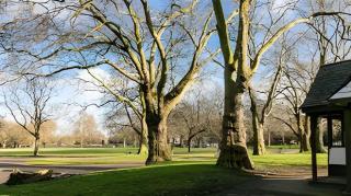 Chestnut Cottage - 4