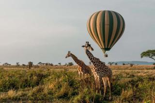 Elephant View Lodge - Kasenyi - 3