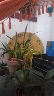 Apartamento completo em Praia Grande Canto do Forte c/ garagem - Praia Grande - 7