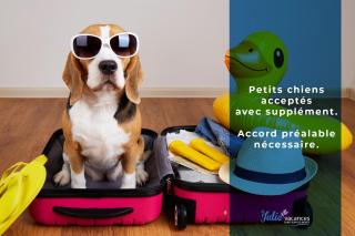 Studio du 104 - Saint-Jean-de-Monts - 2