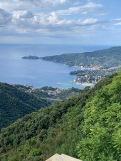 Casa Dei Lauri - Rapallo - 3