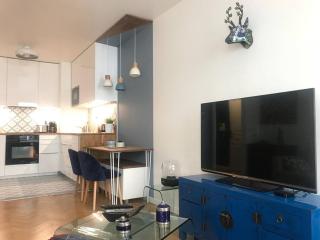 Long term Special Offer. Beautiful flat near Paris - Montreuil - 9