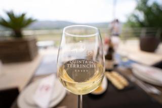 Quinta da Terrincha - Torre de Moncorvo - 4