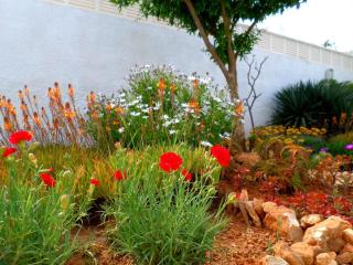 Villa Linda - Calpe - 8