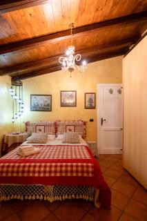 L'antica quercia - Andria - 3