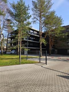 Žiogai - Palanga - 6