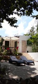 Viila Ixchel jungle pool - 8
