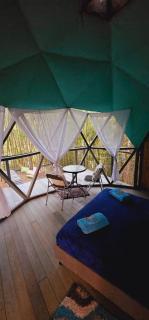 Glamping y Cabañas Alpina - Buga - 1
