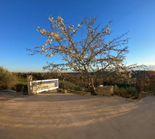 Apartman Tina 2 - Ražanac - 2