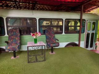 Ficus Wonders Bus - 4