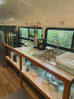Ficus Wonders Bus - 3