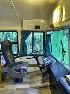 Ficus Wonders Bus - 2