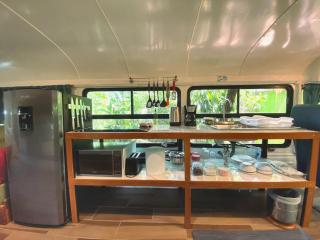 Ficus Wonders Bus - 1