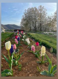 Locanda Cà Del Pian - Villanova Mondovì - 1