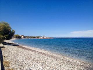 Nitelli's Houses - 3