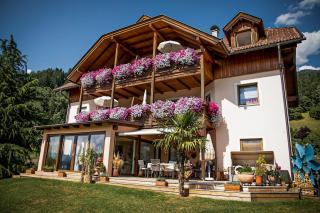 Ferienwohnungen Seerose in Dellach direkt am Millstätter See - Millstatt am See - 0