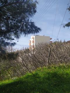 Silkes Apartment - Sitia - 5