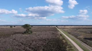 B&B Speulderveld - Ermelo - 1