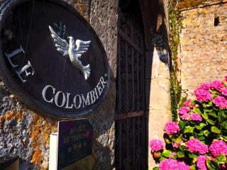 Chateau Le Colombier - Brévands - 8