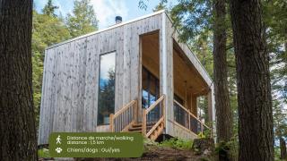 Cabin Zoobox 67 - Eastman - 9