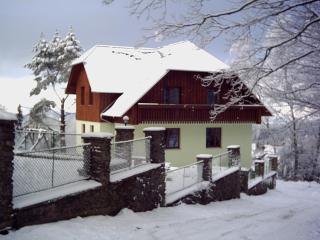 Apartmány Šumava - Hojsova Stráž - 5