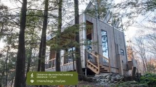 Cabin Zoobox 68 - Eastman - 9