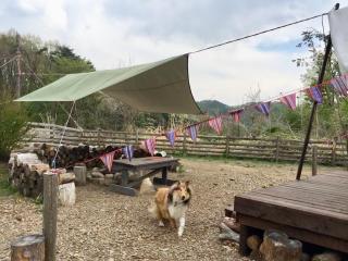 Camp inn Kiyosato GRANDEUR - Vacation STAY 42080v - Hokuto - 4