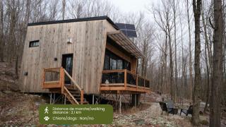 Cabin Zoobox 77 - Eastman - 9