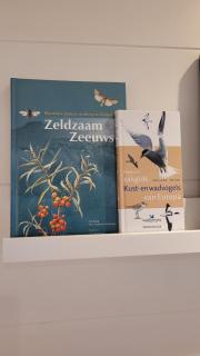 Dulce Tierra - vakantiewoning - Zoutelande - 5