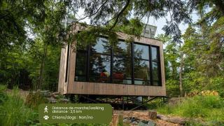 Cabin Zoobox 87 - Eastman - 9