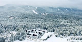 Forest nest - your place to rest! - Borovets - 0