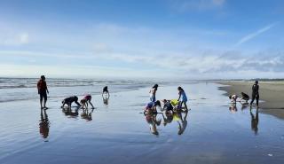 Cranberry Cottage Studio by the Sea w fireplace - 2