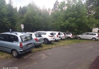 Lipno Pearl 3 - Lipno nad Vltavou - 3