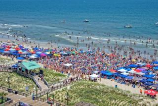Bella Vita at Towne Place - Carolina Beach - 8