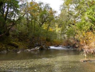 Caz-A-Verde - Cazadero - 6