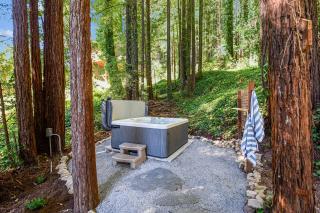 Wanderwood - Guerneville - 8