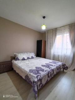 Apartament in centrul istoric - Baia Mare - 7
