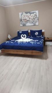Apartament in centrul istoric - Baia Mare - 6